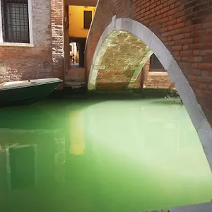 The Secret Garden In The Very Heart Of Apartament
